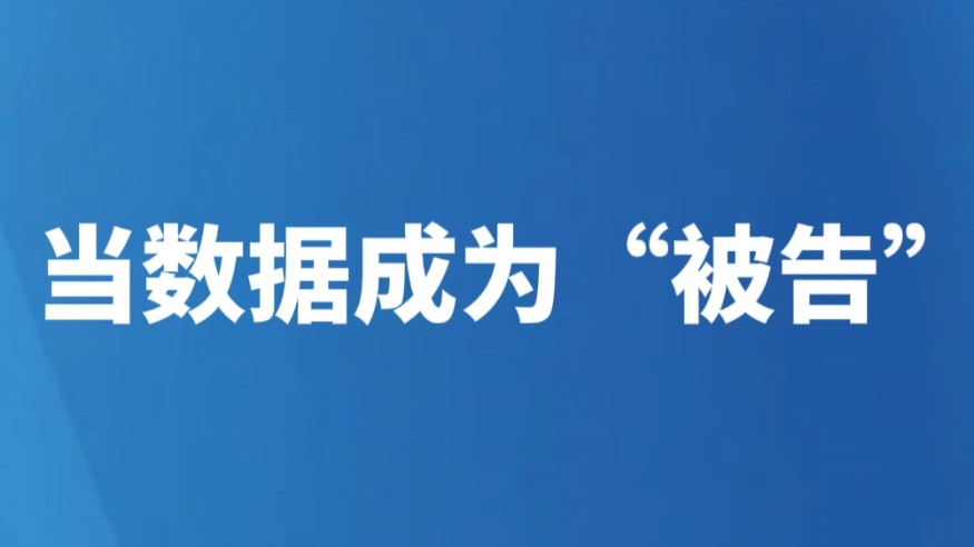 当数据成为“被告”