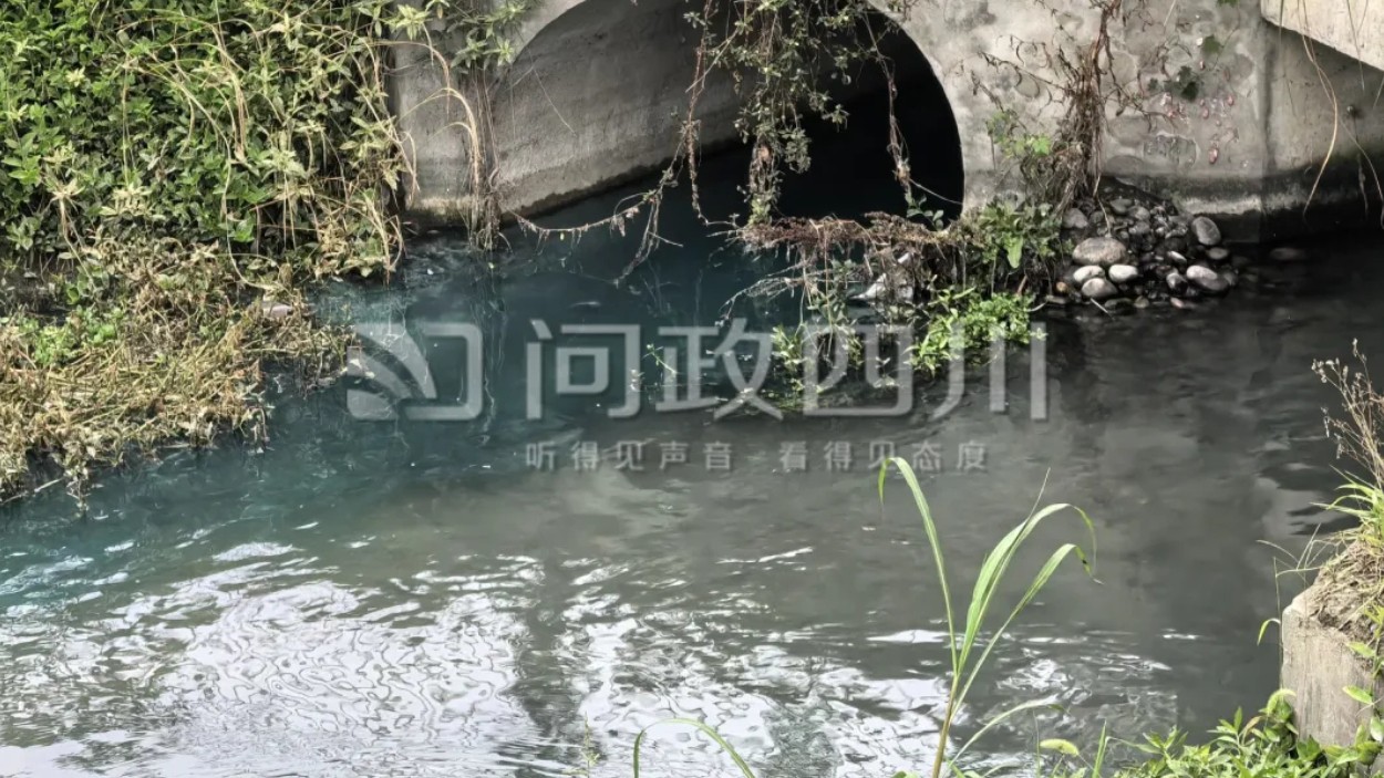 成都温江一地河水为啥突然变蓝？调查：非偷排，系污水管破损溢流造成