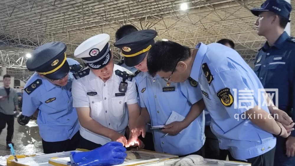 非法渔获别想偷着卖 青岛休渔期联合执法向涉渔违法经营说不