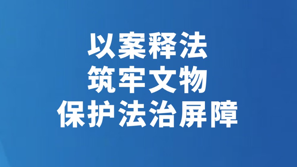 以案释法 筑牢文物保护法治屏障