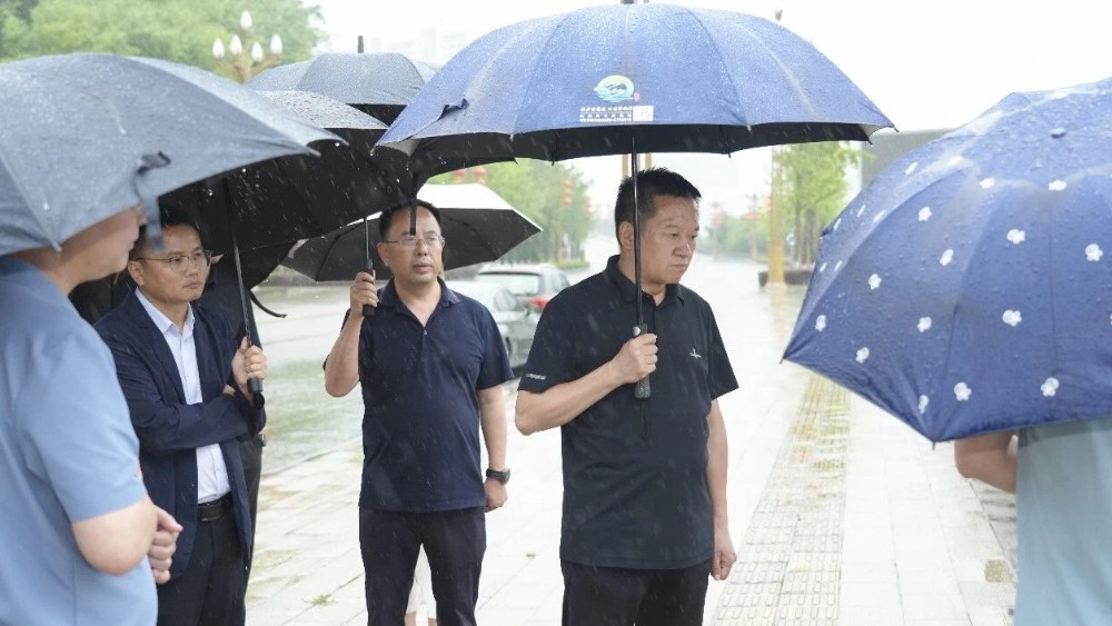 袁达成带队调研督导苍溪县域交通物流、群众身边不正之风和腐败问题集中整治等⼯作