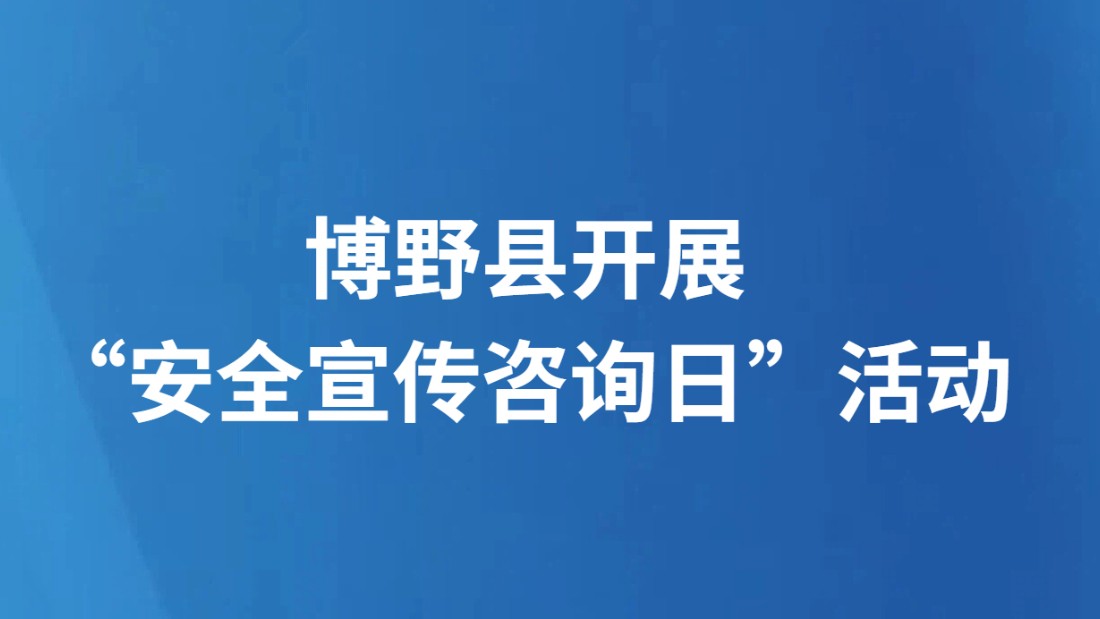 博野县 开展“安全宣传咨询日”活动
