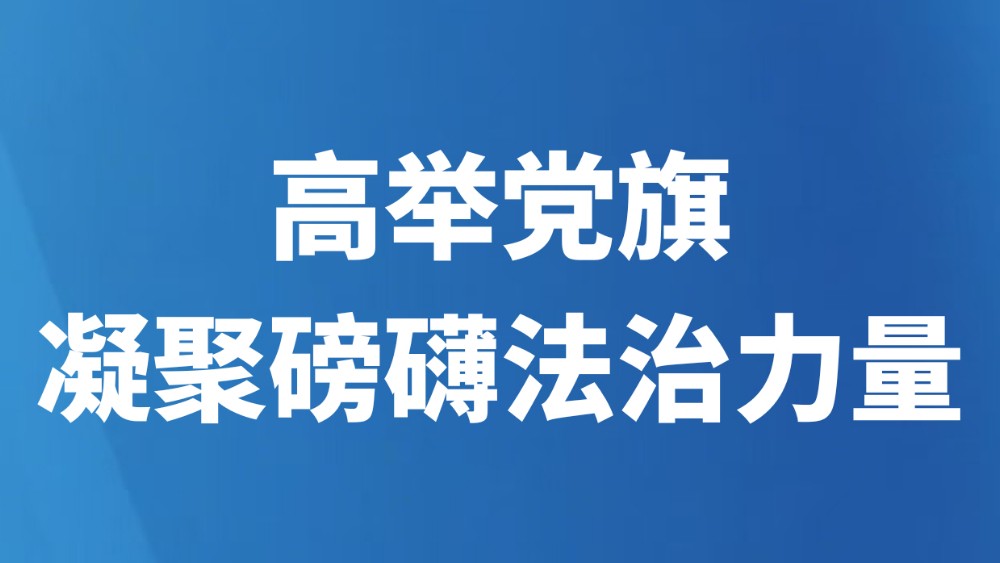 高举党旗凝聚磅礴法治力量