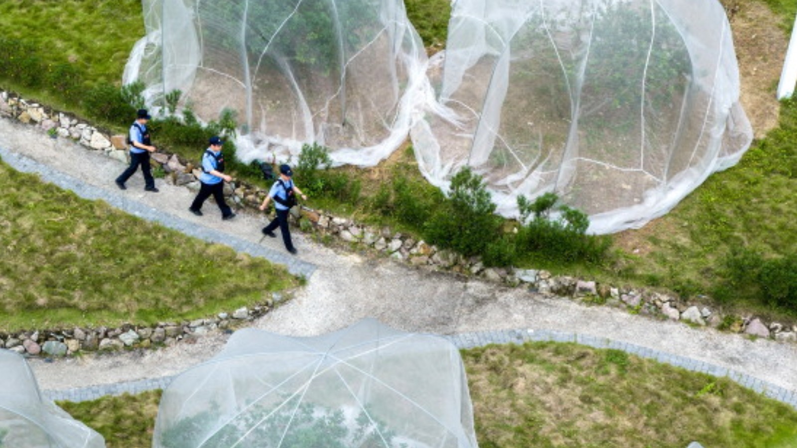 警蓝守护