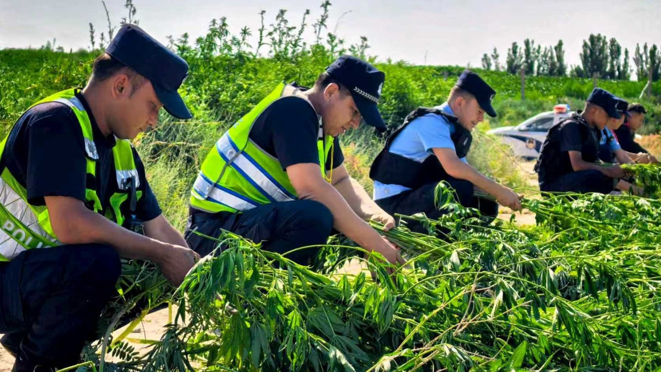 科技踏查除毒患 普法禁毒筑民心