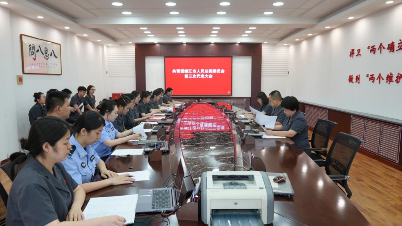 青春接力启新程 实干担当谱新篇——嫩江法院圆满完成团委换届选举工作