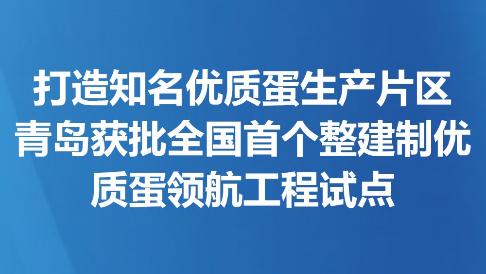 打造知名优质蛋生产片区 青岛获批全国首个整建制优质蛋领航工程试点