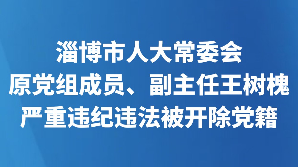 淄博市人大常委会原党组成员、副主任王树槐严重违纪违法被开除党籍
