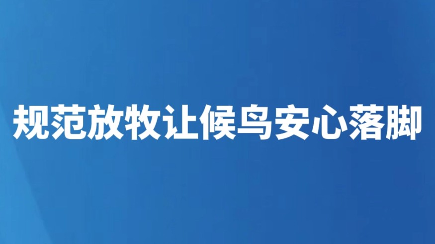 规范放牧让候鸟安心落脚