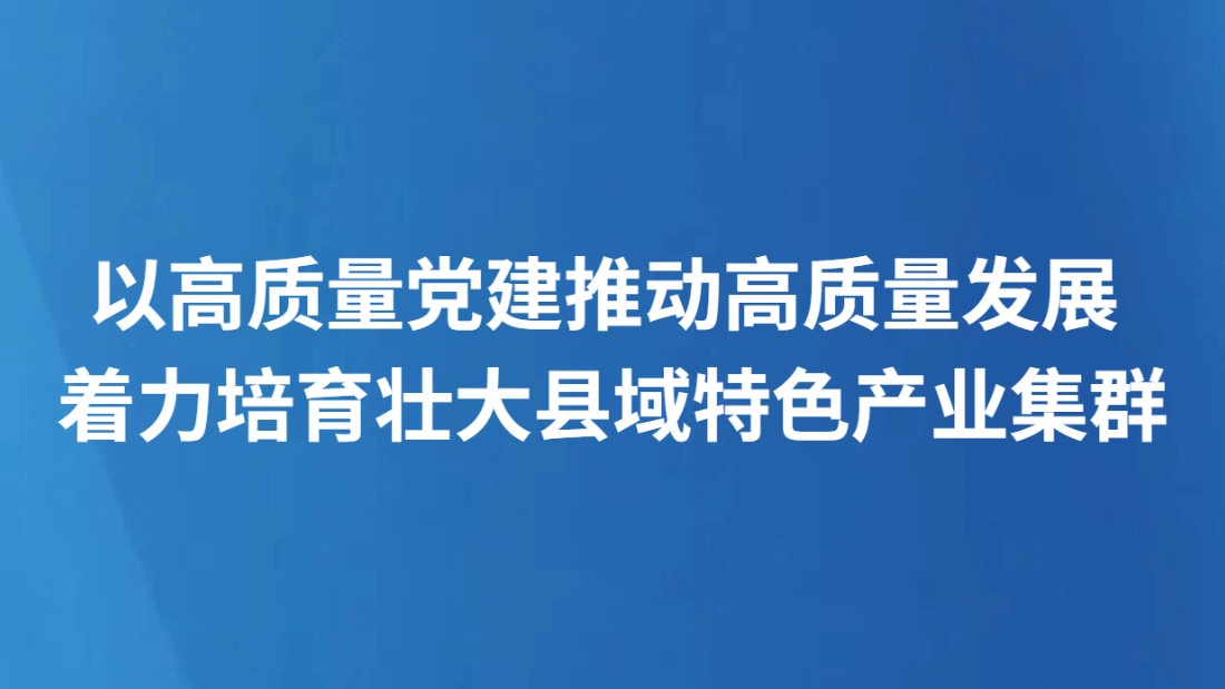 以高质量党建推动高质量发展 着力培育壮大县域特色产业集群