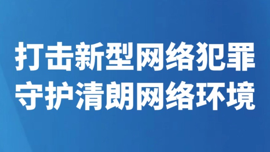 打击新型网络犯罪 守护清朗网络环境
