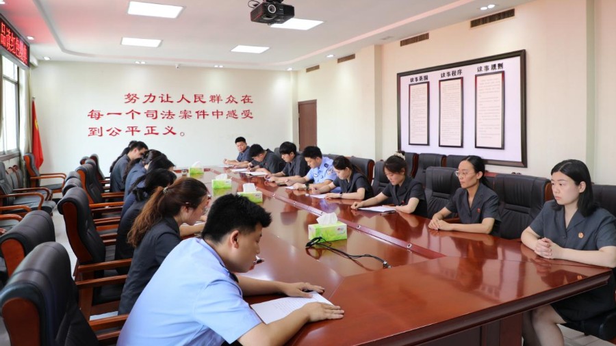 传承红色薪火 聚力法治青春——河南省南阳市西峡县法院开展第二十九期“青春读书汇”