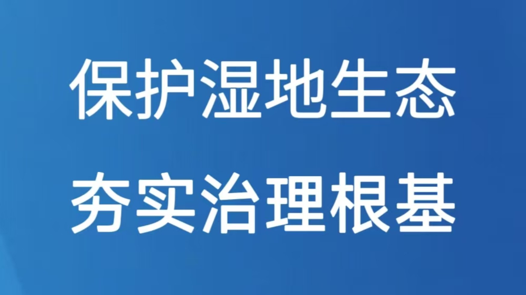 保护湿地生态 夯实治理根基