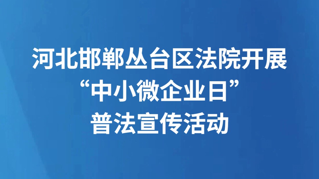 河北邯郸丛台区法院开展“中小微企业日”普法宣传活动