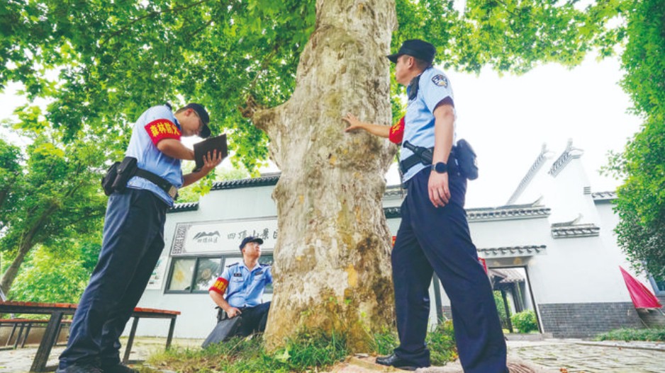 守护绿色资源