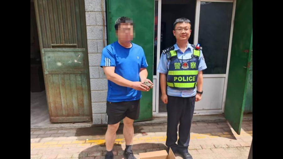 河南省南阳市桐柏县公安局：警灯照亮惊鸮路  双手托起归林途