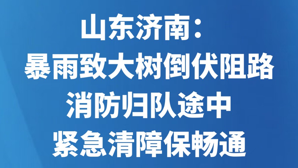 山东济南：暴雨致大树倒伏阻路 消防归队途中紧急清障保畅通