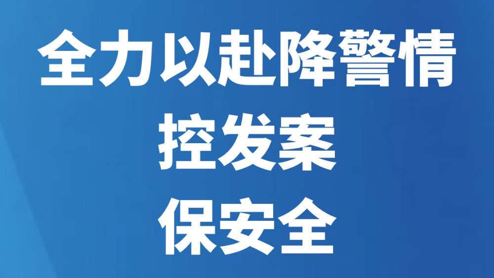 全力以赴降警情控发案保安全