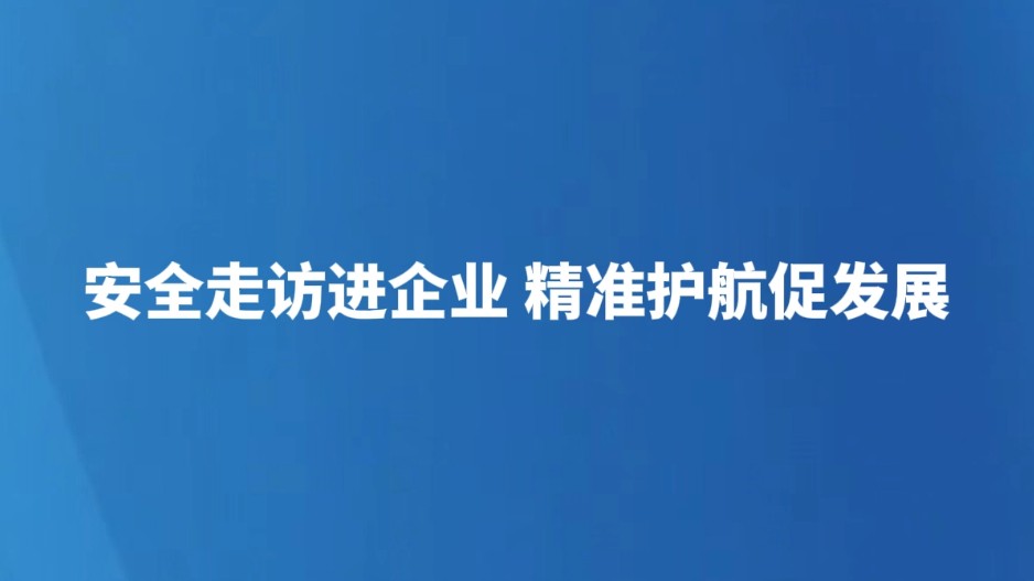 安全走访进企业 精准护航促发展