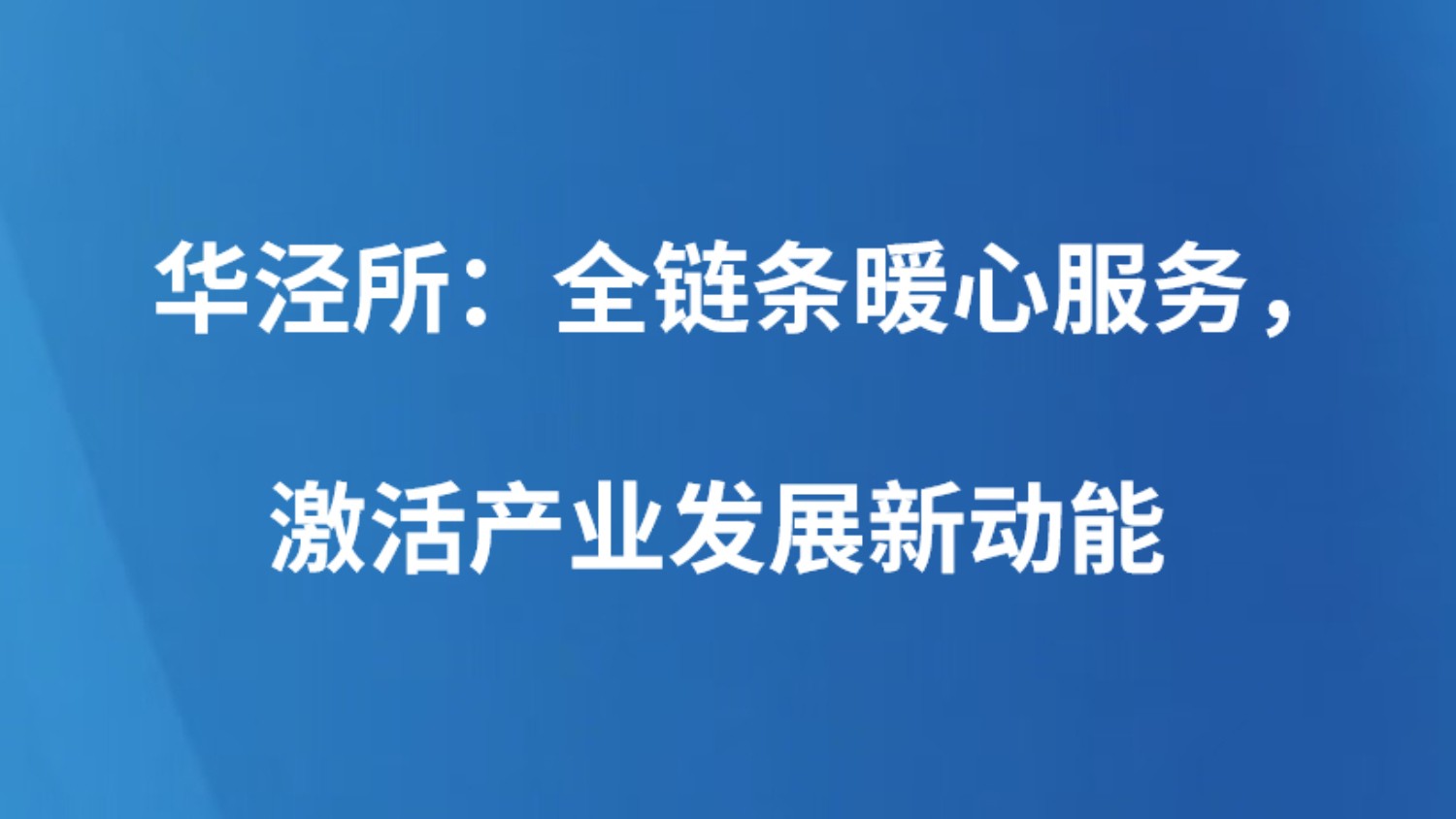 华泾所：全链条暖心服务，激活产业发展新动能