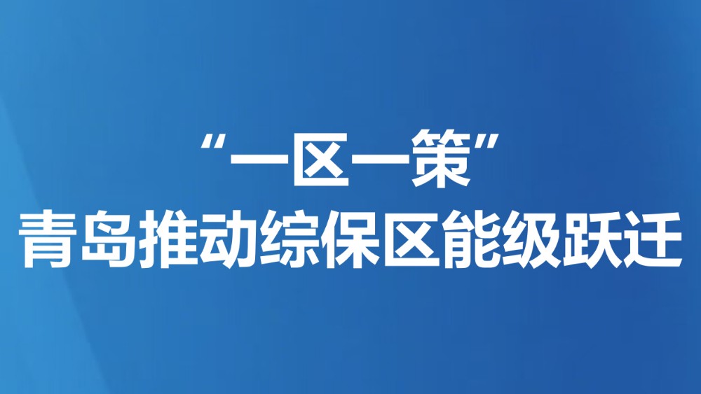 “一区一策”，青岛推动综保区能级跃迁