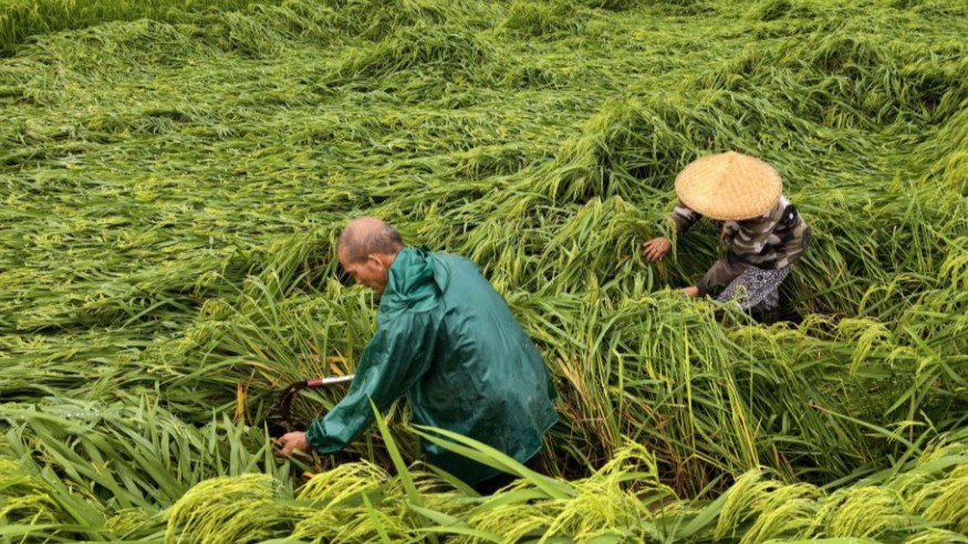广西将重大气象灾害（暴雨）应急响应提升至Ⅱ级