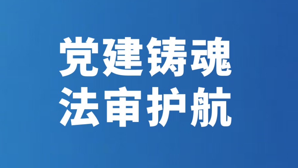 党建铸魂 法审护航