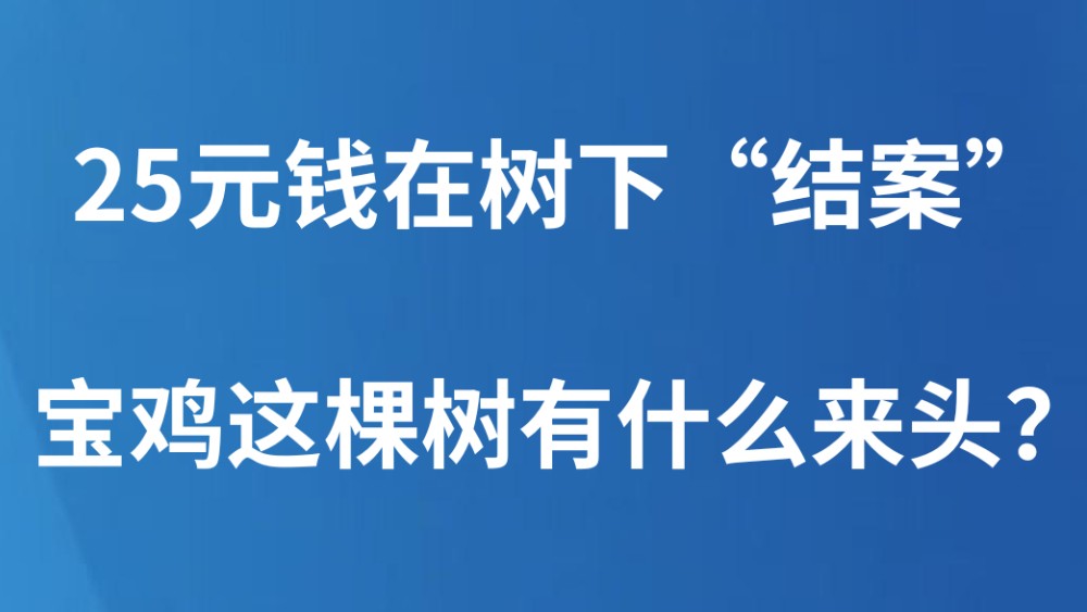 25元钱在树下“结案”，宝鸡这棵树有什么来头？