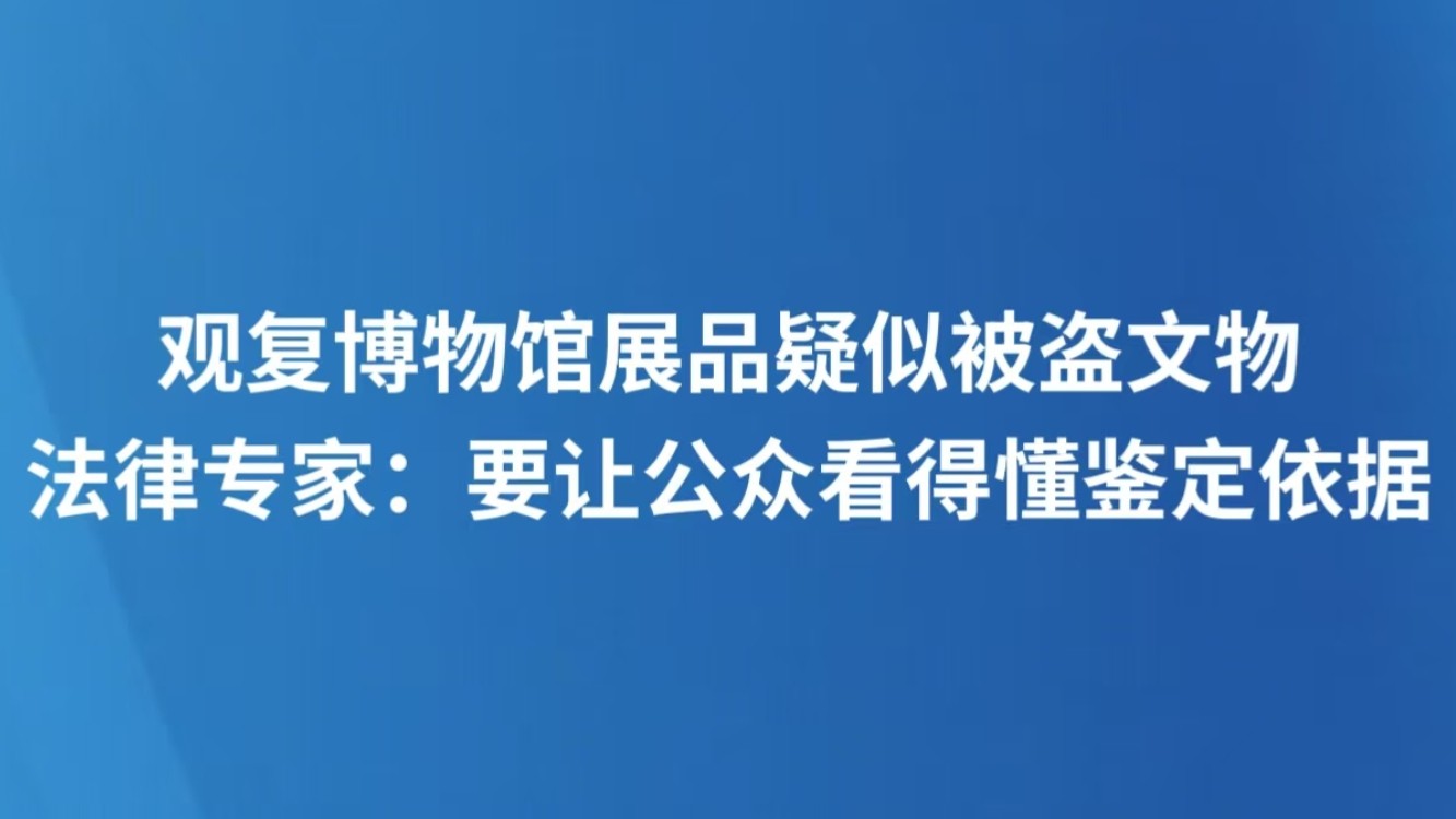 观复博物馆展品疑似被盗文物，法律专家：要让公众看得懂鉴定依据