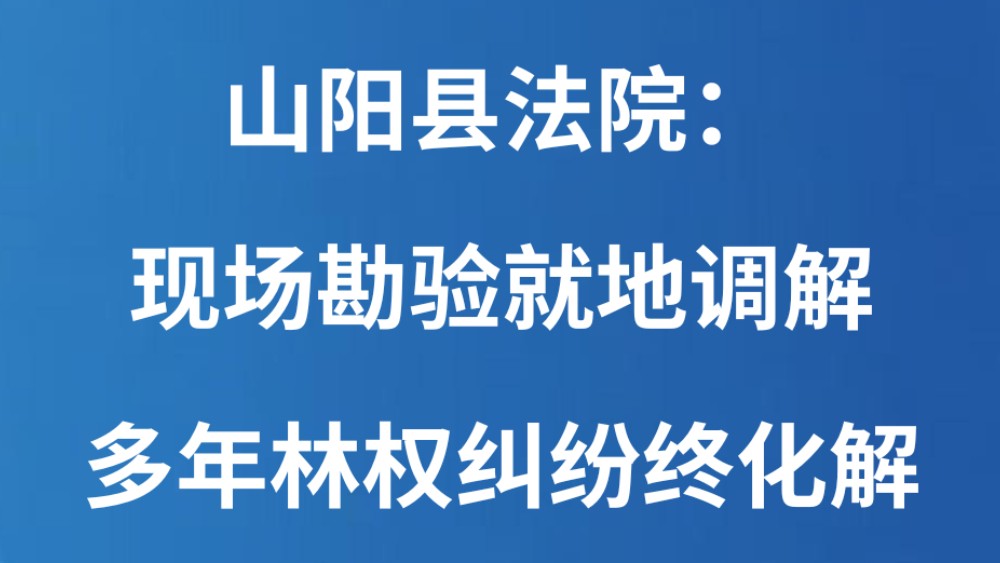 山阳县法院：现场勘验就地调解 多年林权纠纷终化解