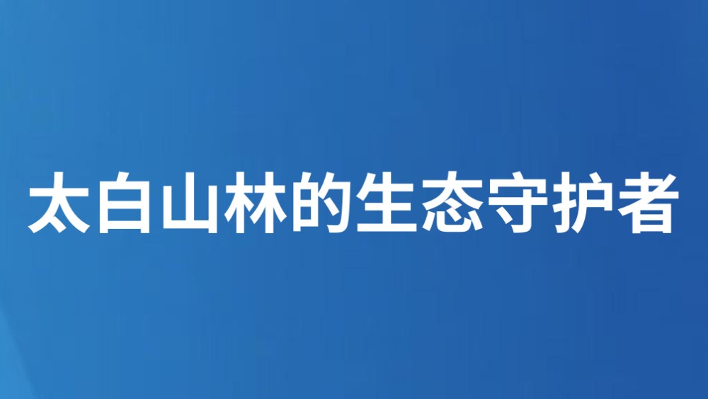 太白山林的生态守护者
