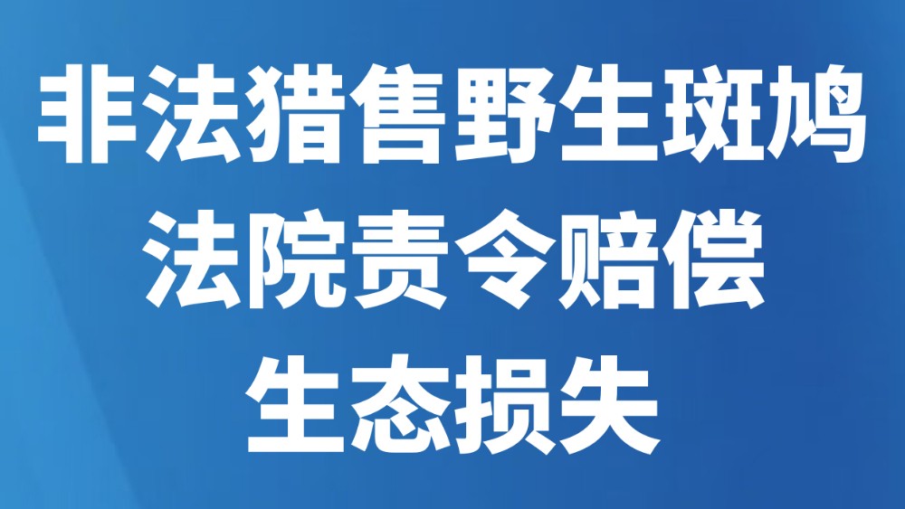 非法猎售野生斑鸠法院责令赔偿生态损失