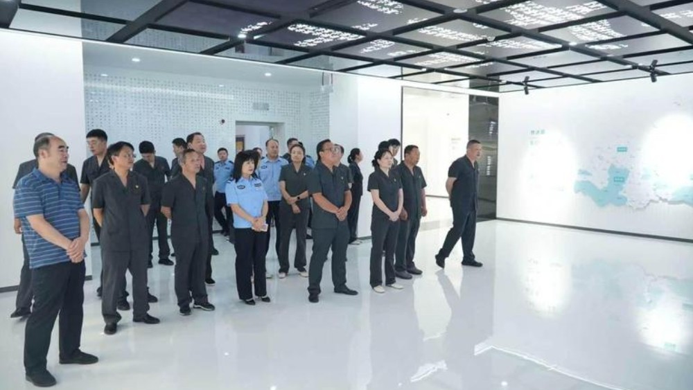商南法院开展主题党日活动