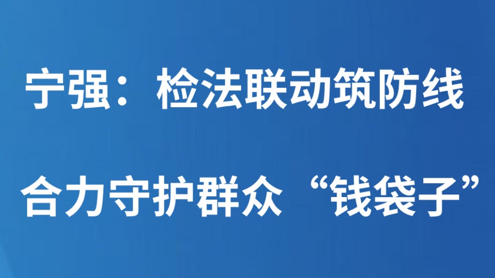 宁强：检法联动筑防线 合力守护群众“钱袋子”