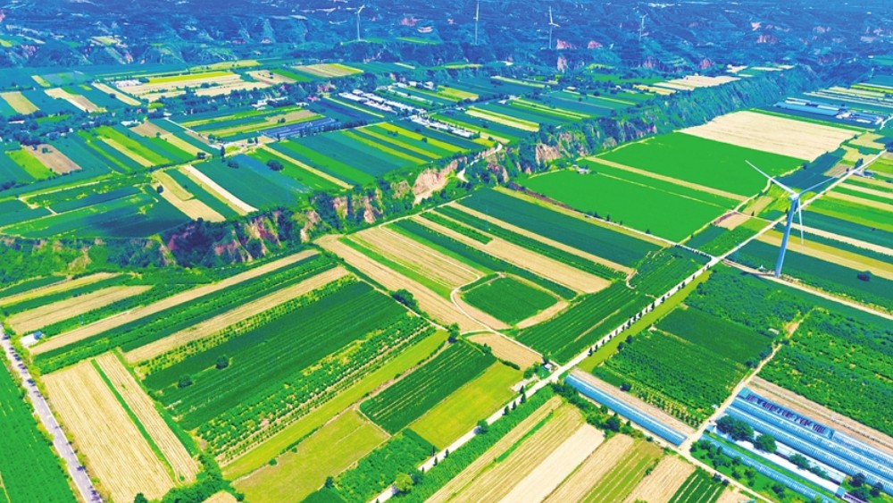 平陆县：绘就生态宜居、粮丰景美的壮美画卷