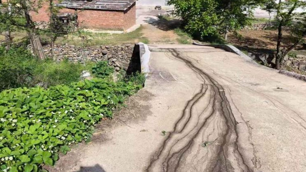 商洛商州：检察建议推动污染治理水沟恢复整洁