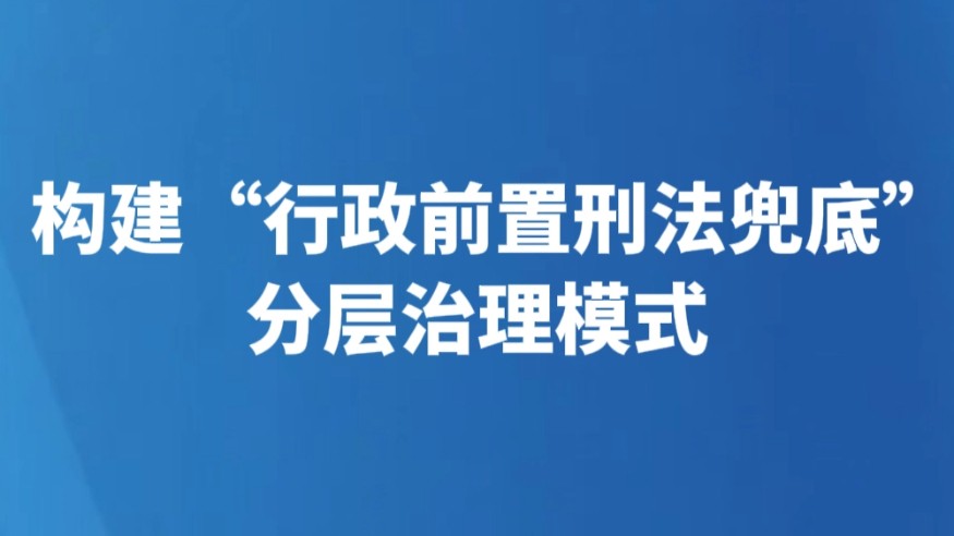 构建“行政前置刑法兜底”分层治理模式