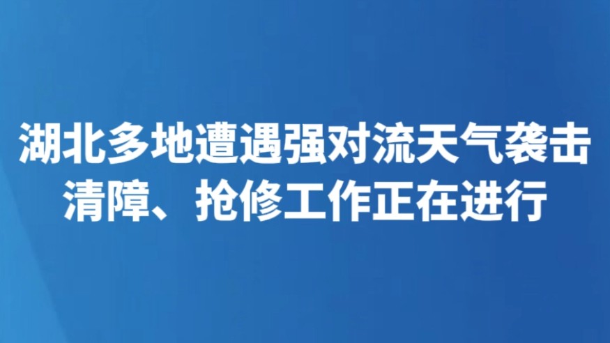 湖北多地遭遇强对流天气袭击 清障、抢修工作正在进行