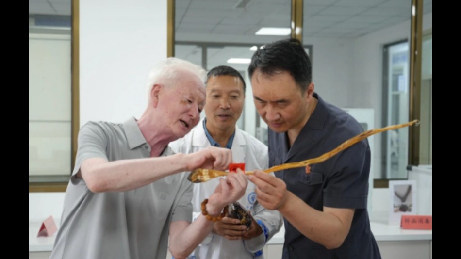 法治护航强保障 联企赋能促发展——吉林双阳法院联合区工商联开展企业走访调研活动