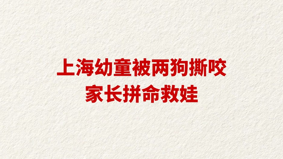 上海幼童被两狗撕咬 家长拼命救娃