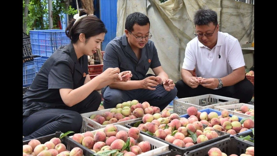 河南省桐柏县法院：用心安商 用情化纷 用力护企