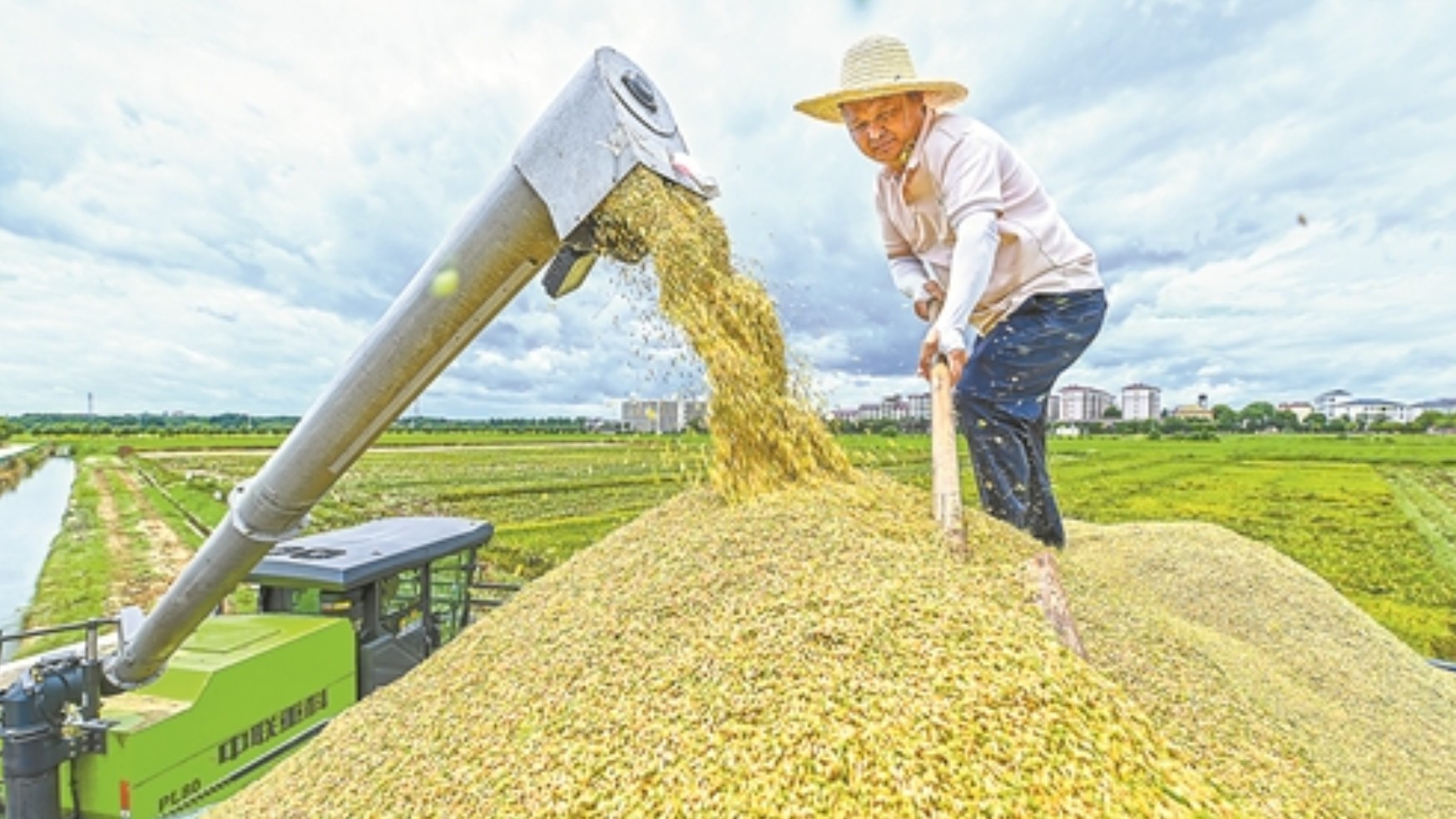 沃野铺金 赣鄱大地迎夏收