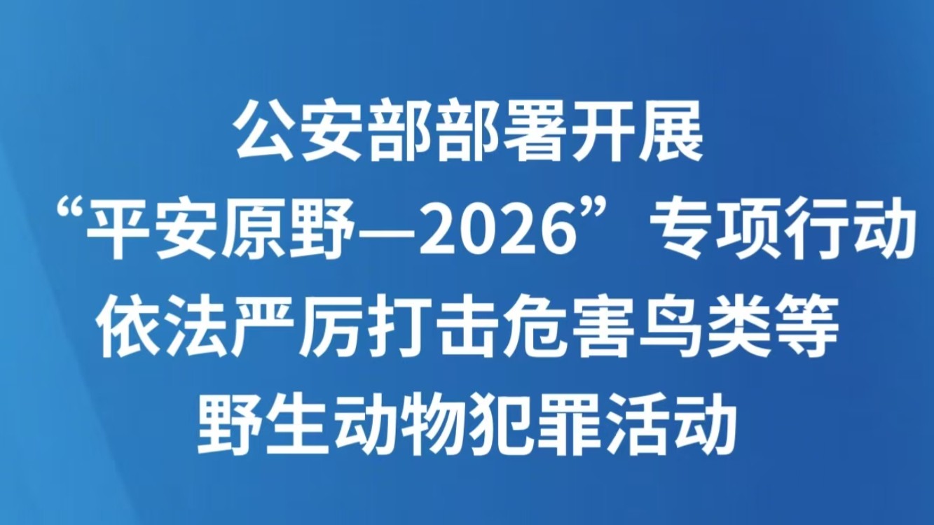 公安部部署开展“平安原野—2026”专项行动 依法严厉打击危害鸟类等野生动物犯罪活动