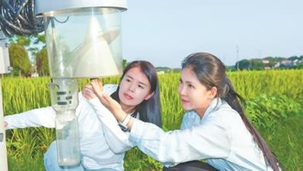 把米袋子攥在手头