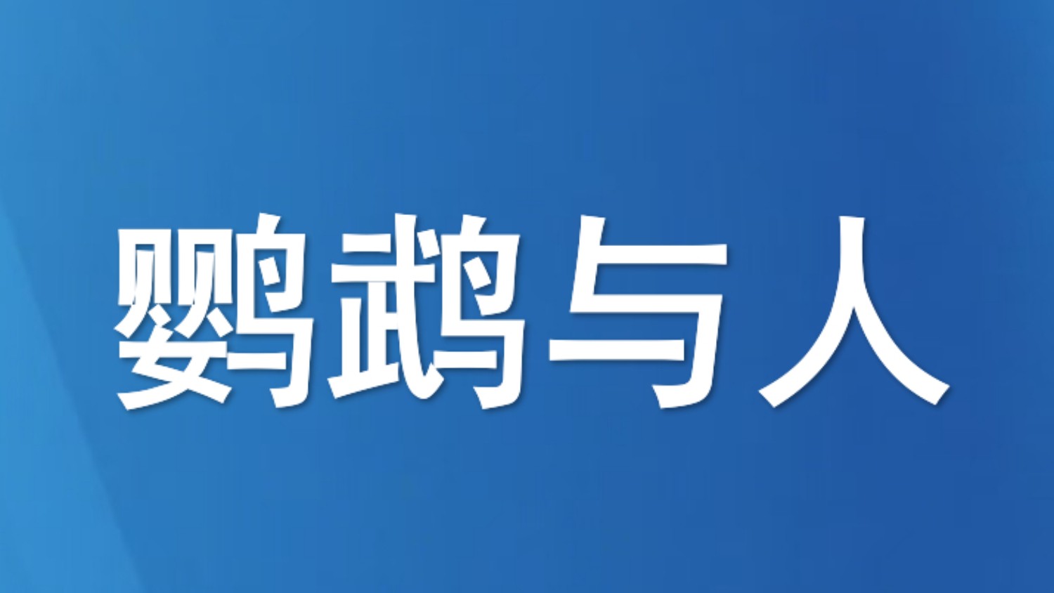 鹦鹉与人