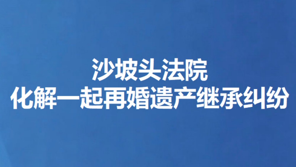 沙坡头法院化解一起再婚遗产继承纠纷