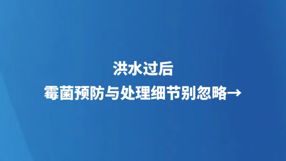 洪水过后 霉菌预防与处理细节别忽略→