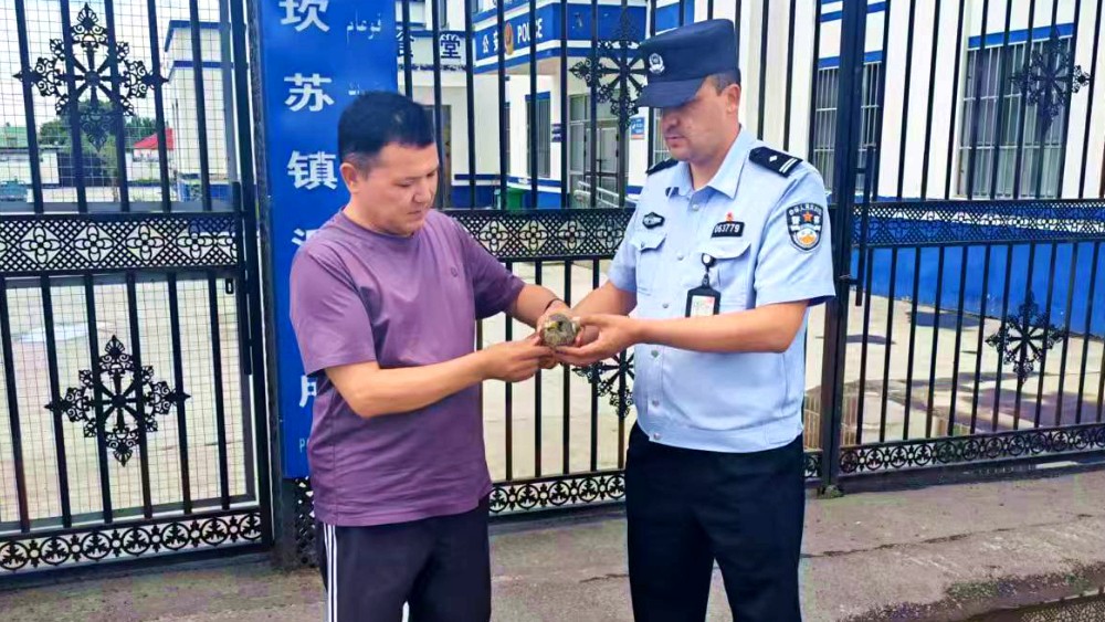 新疆新源县公安局：巡逻途中遇受伤红隼 “生态警务”暖心救助