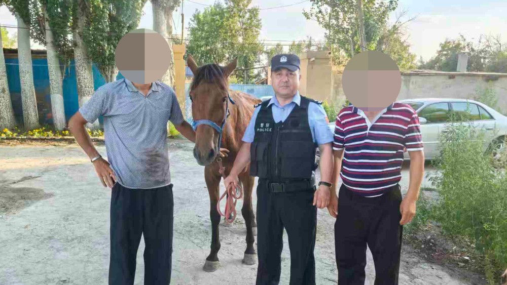 新疆伊犁边境管理支队扎库齐牛录边境派出所：赶集丢马急坏牧民 民警逐帧排查精准找回