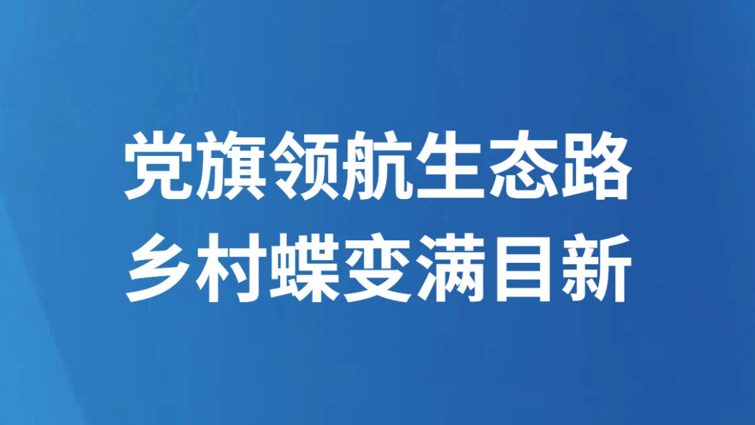 党旗领航生态路 乡村蝶变满目新